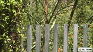 Horseplay Sc 4 Logan Vaughn, Steve Stiffer