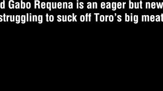 Gabo Requena & Toro Bravo