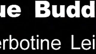 Prague Buddies #2 (2000)