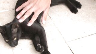 Misha's riding lesson