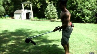 The Gardener - Gavin Waters, Rafael Alencar