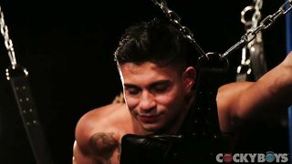 Fuck Yeah Levi Karter!